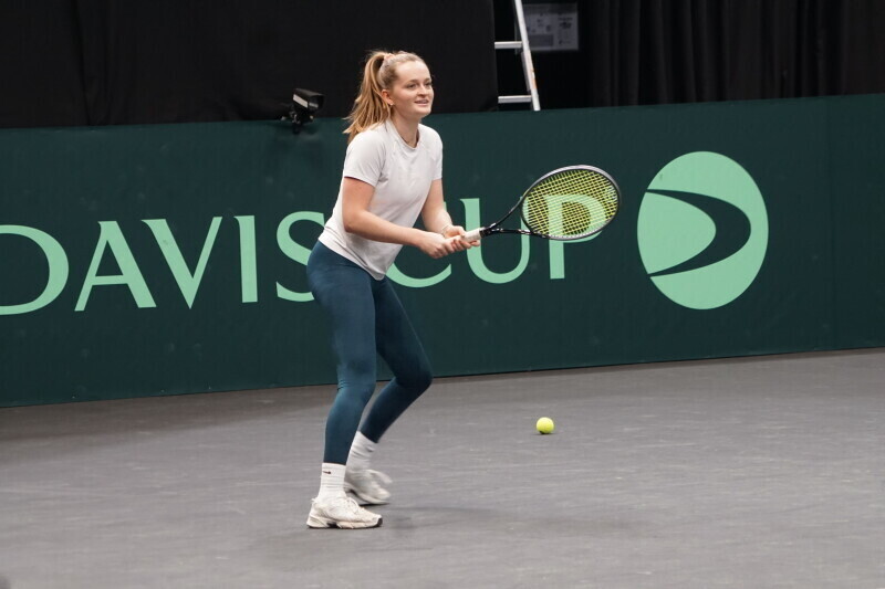 diede hoekstra davis cup